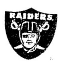 RAIDERS