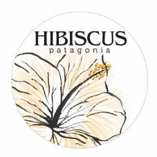 HIBISCUS PATAGONIA