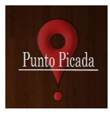 PUNTO PICADA