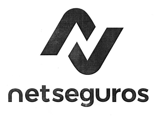 NET SEGUROS