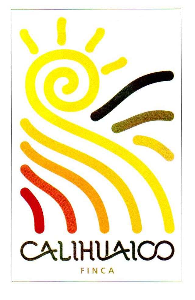 CALIHUAICO FINCA