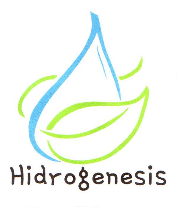 HIDROGENESIS