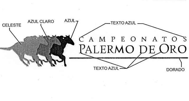 CAMPEONATOS PALERMO DE ORO