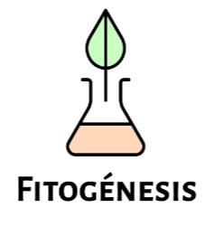 FITOGÉNESIS