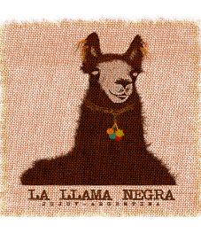 LA LLAMA NEGRA JUJUY ARGENTINA