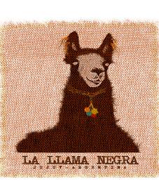 LA LLAMA NEGRA JUJUY ARGENTINA