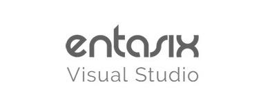 ENTASIX VISUAL STUDIO