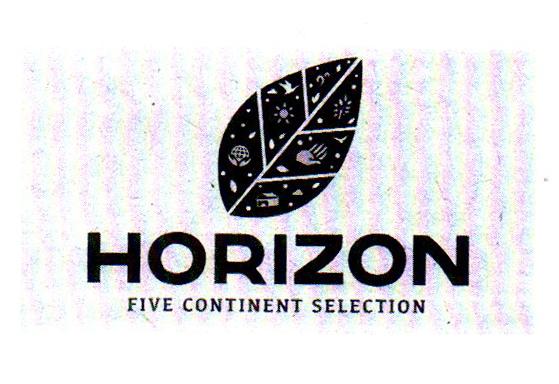 HORIZON FIVE CONTINENT SELECTION