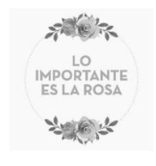 LO IMPORTANTE ES LA ROSA