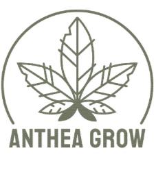 ANTHEA GROW