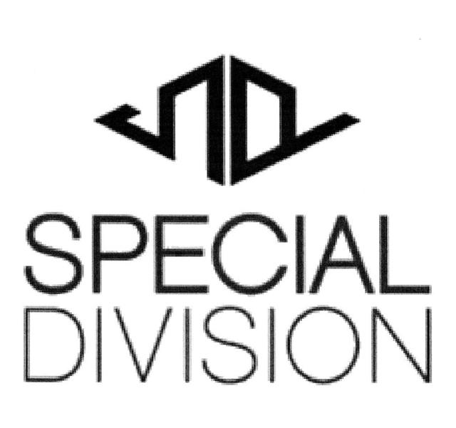 SPECIAL DIVISION