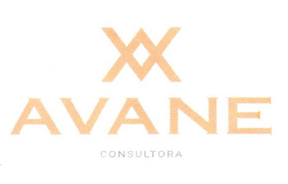 XX AVANE CONSULTORA