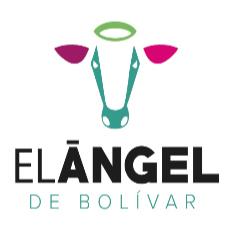 EL ANGEL DE BOLIVAR