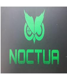 NOCTUA