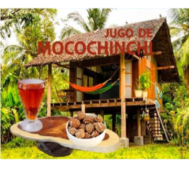 JUGO DE MOCOCHINCHI