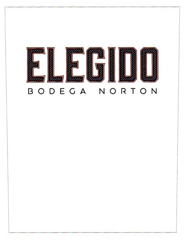 ELEGIDO BODEGA NORTON