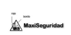 MS MAXISEGURIDAD