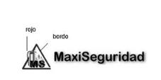 MS MAXISEGURIDAD