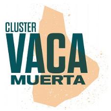 CLUSTER VACA MUERTA