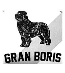 GRAN BORIS