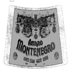 AMARO MONTENEGRO