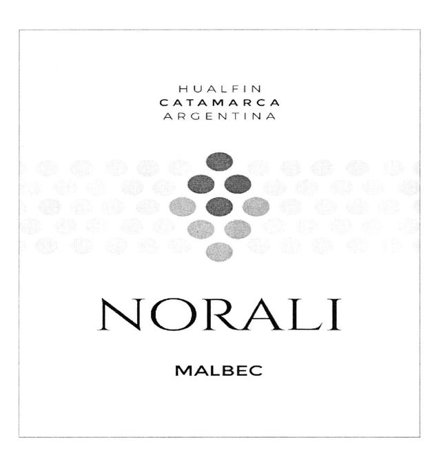 NORALI MALBEC HUALFIN CATAMARCA ARGENTINA