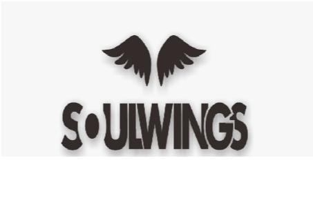 SOULWINGS