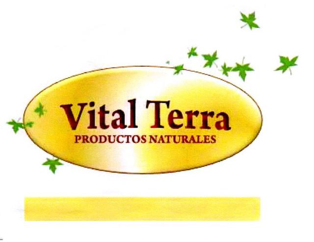 VITAL TERRA PRODUCTOS NATURALES