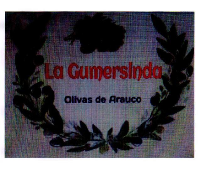 LA GUMERSINDA OLIVAS DE ARAUCO