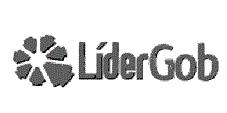 LIDERGOB