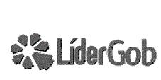 LIDERGOB