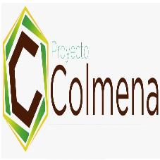 PROYECTO COLMENA