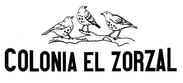 COLONIA EL ZORZAL