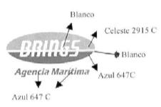 BRINGS AGENCIA MARITIMA