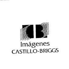 IMAGENES CASTILLO BRIGGS