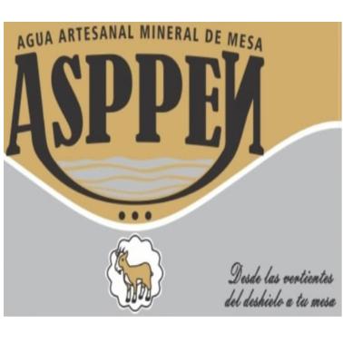 ASPPEN AGUA ARTESANAL MINERAL DE MESA DESDE LAS VERTIENTES DEL DESHIELO A TU MESA