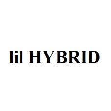 LIL HYBRID