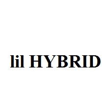 LIL HYBRID