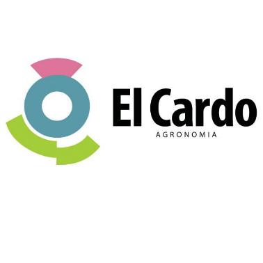 EL CARDO