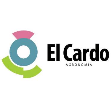 EL CARDO