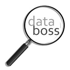 DATA BOSS