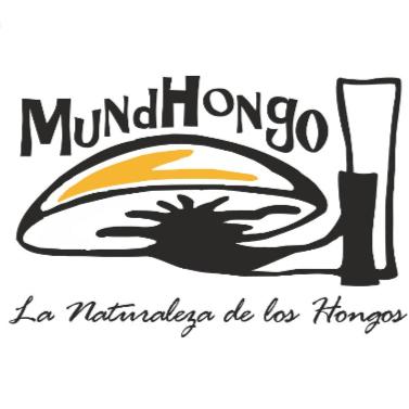 MUNDHONGO LA NATURALEZA DE LOS HONGOS