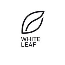 WHITE LEAF