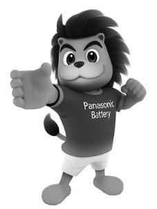 PANASONIC BATTERY