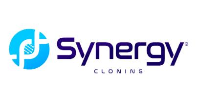 SYNERGY CLONING