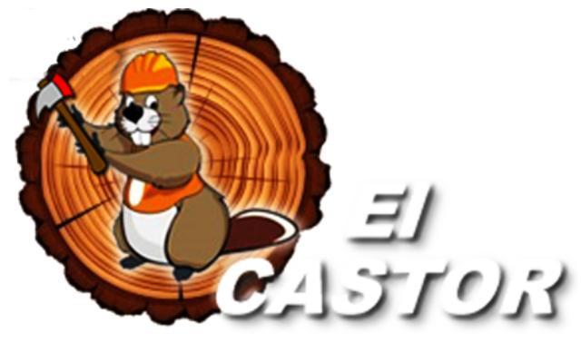 EL CASTOR