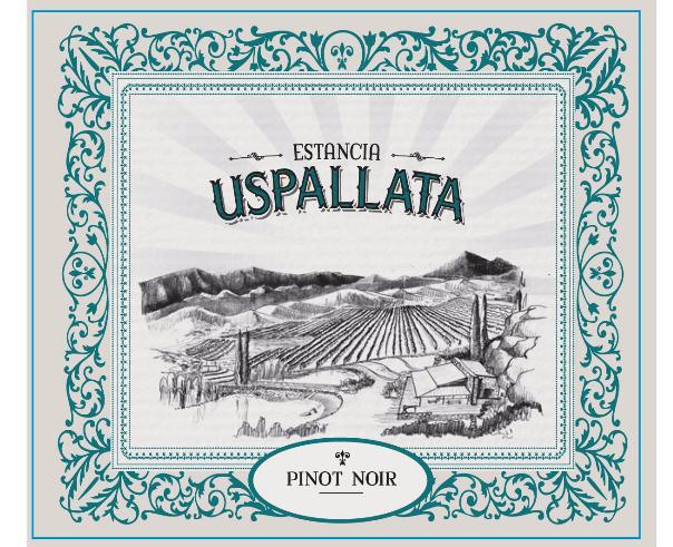 ESTANCIA USPALLATA PINOT NOIRE