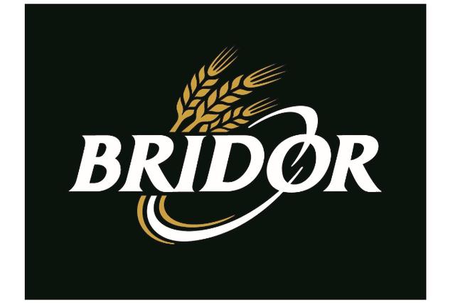 BRIDOR