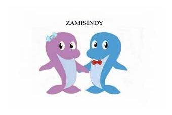 ZAMISINDY