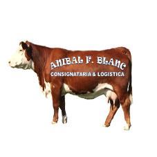 ANIBAL F. BLANC CONSIGNATARIA & LOGISTICA